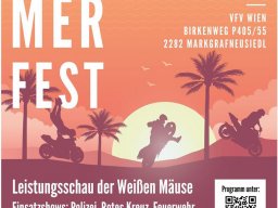 10 VfV Sommerfest